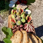 Grande Maison De Famille, 12pers, Piscine Privée, Vallée Du Lot&bastides * Ledat