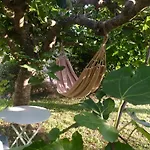 Grande Maison De Famille, 12pers, Piscine Privée, Vallée Du Lot&bastides Villa Ledat