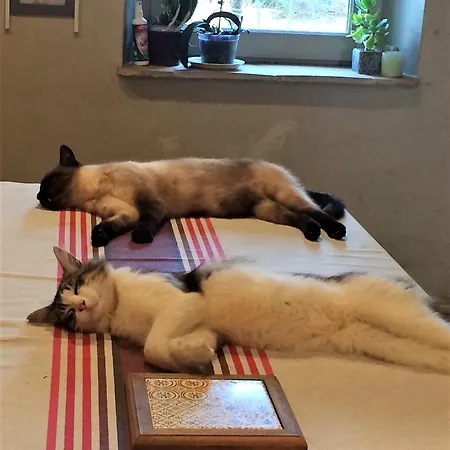 Grande Maison De Famille, 12pers, Piscine Privee, Vallee Du Lot & Bastides *