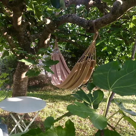 Grande Maison De Famille, 12pers, Piscine Privee, Vallee Du Lot & Bastides Villa Ledat