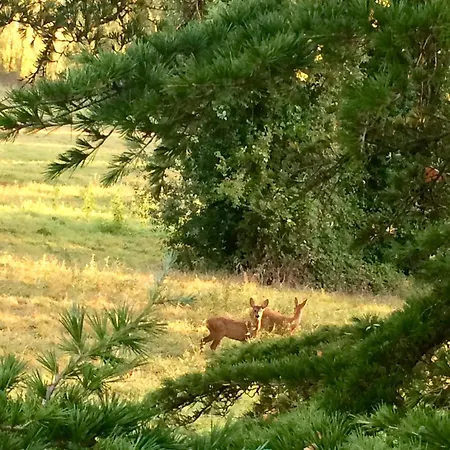 Grande Maison De Famille, 12pers, Piscine Privee, Vallee Du Lot & Bastides * Ledat