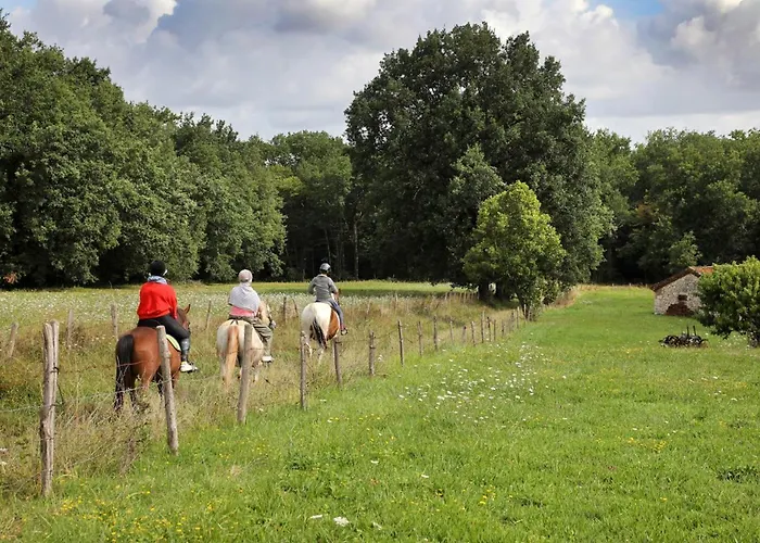 Willa Grande Maison De Famille, 12pers, Piscine Privee, Vallee Du Lot & Bastides Ledat